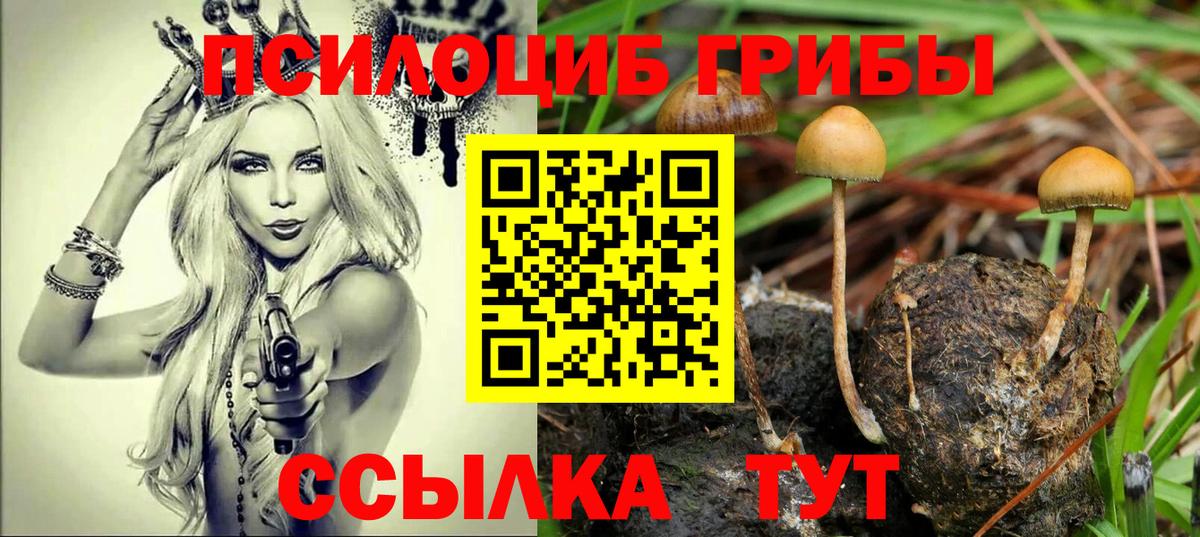 Галлюциногенные грибы Psilocybine cubensis Керчь